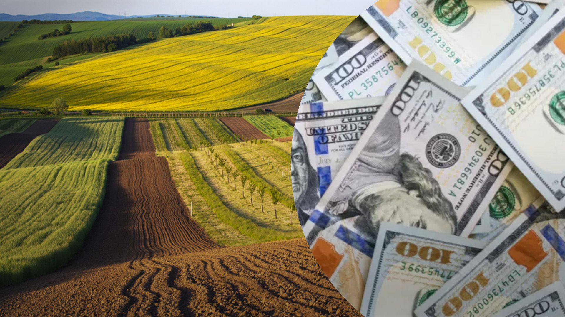 Зниження вартості землі, погіршення інвестклімату – експерти пояснили, до чого можуть призвести ініціативи Мінагропроду