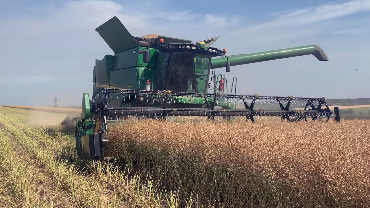 Сезон сої та ріпаку повністю зірвано: аграрії вимагають зупунити дію закону до розробки правил експорту у листопаді